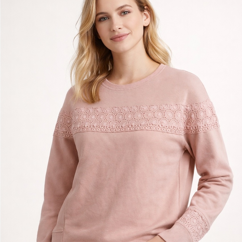 Banana Republic Blush Lace Crew Neck Sweater | L